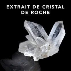 Trilliance Shampoo Sebastian 250ml -AURORA Magasin 51122 3 76641.1688998406