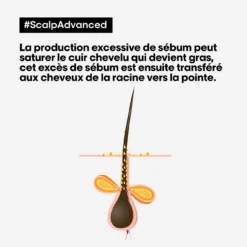 Argile 2-en-1 Purifiante Anti Gras Scalp Advanced L'Oréal 500ml -AURORA Magasin scalp advanced anti gras se bum 94024.1684847776